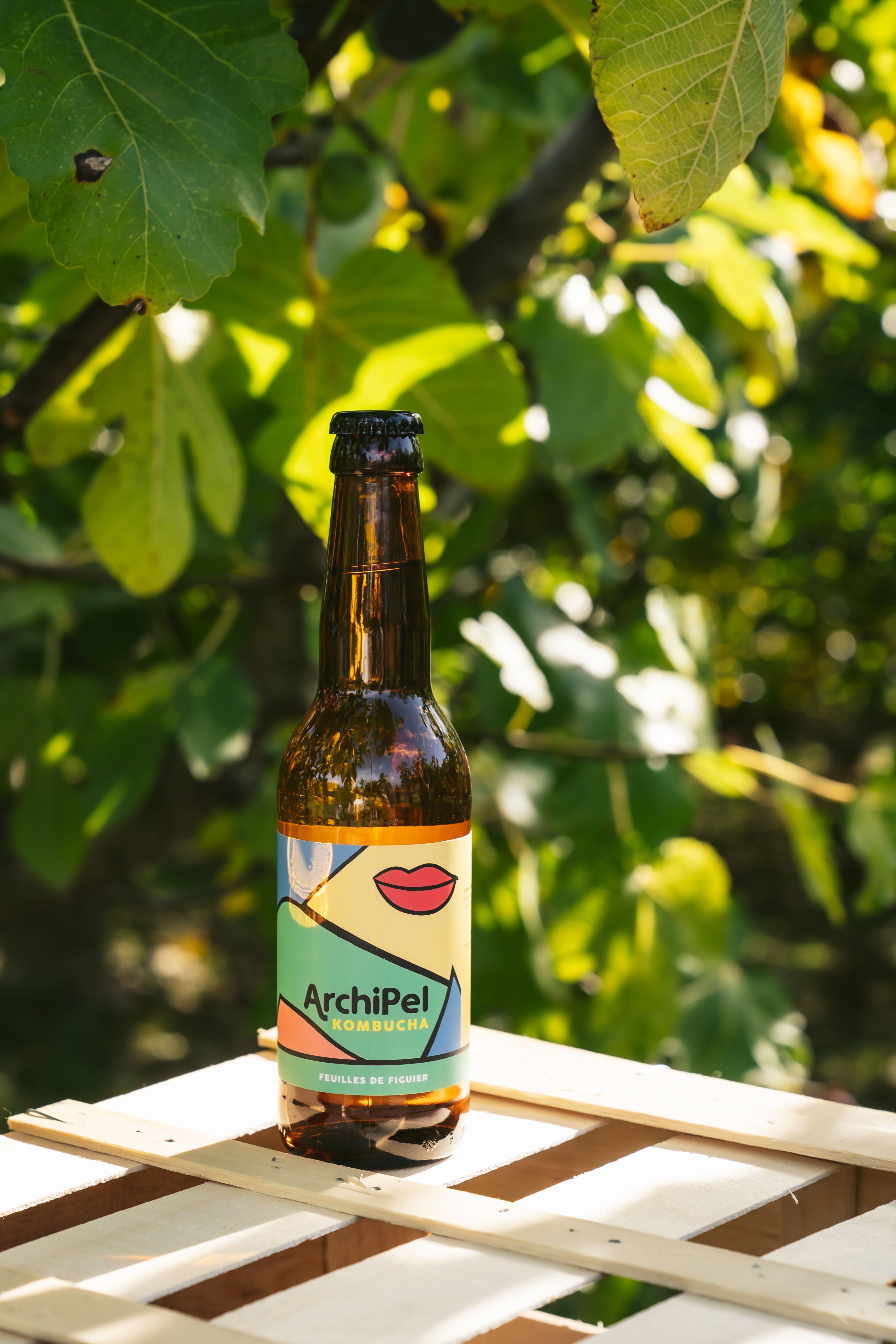 Feigenblatt-Kombucha – 33cl (x12)