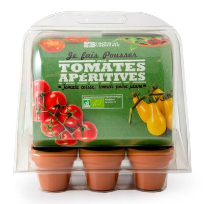 Mini serre 6 pots PET Tomate bio