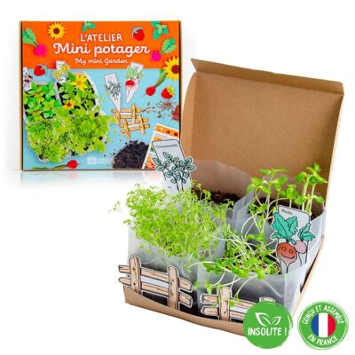 Coffret Mini Potager