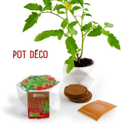 Pot origami grand modèle Tomate cerise bio