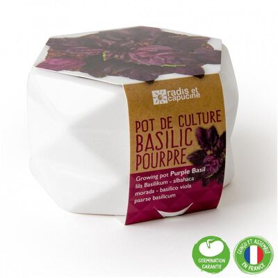 Pot origami - Grand Modèle basilic pourpre à semer