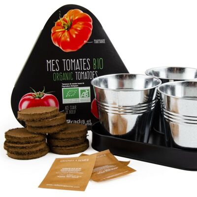 Plateau trio pots zinc tomates