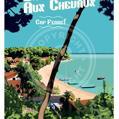 Affiche de la pointe aux chevaux - cap ferret - 30x40 cm