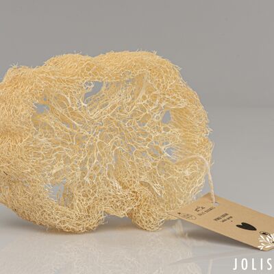 Loofah: esfoliante a zero rifiuti