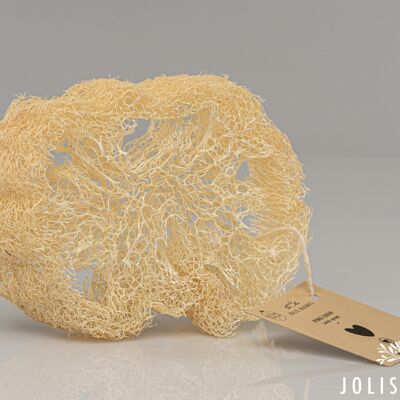 Loofah - exfoliant zéro déchet