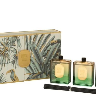 caja de 3 aceite perfumada tropical jungle verde-12014