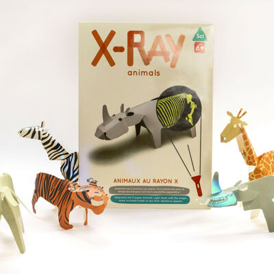 Animals on the X-ray