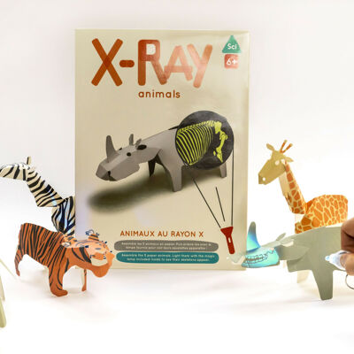 Animals on the X-ray