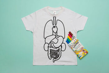 Colorie tes organes sur un tee-shirt - taille 8 ans 5