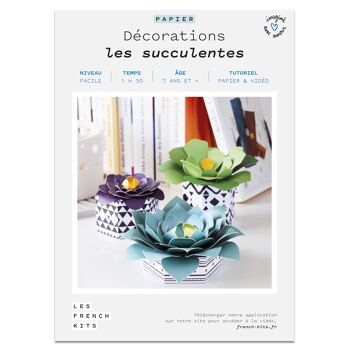 French'Kits - Décoration - Les succulentes 2