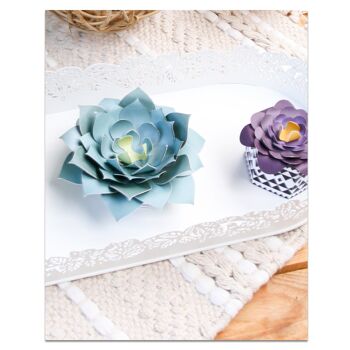 French'Kits - Décoration - Les succulentes 4