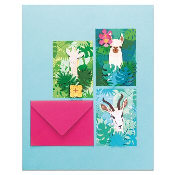 French'Kits - Cartes Postales - Les animaux 4