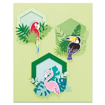 French'Kits - Décorations murales - Les animaux tropiquaux 4