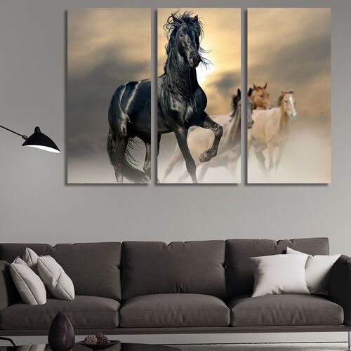 Canvas Black stallion -3 Parts - S