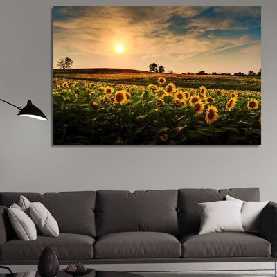 Canvas Sunflower fields at sunset -1 Part - S