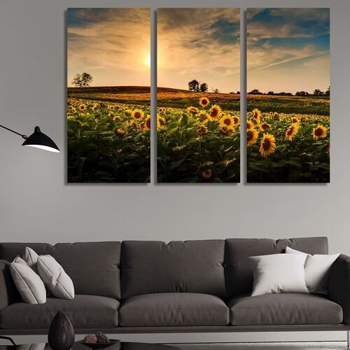 Canvas Sunflower fields at sunset -3 Parts - S