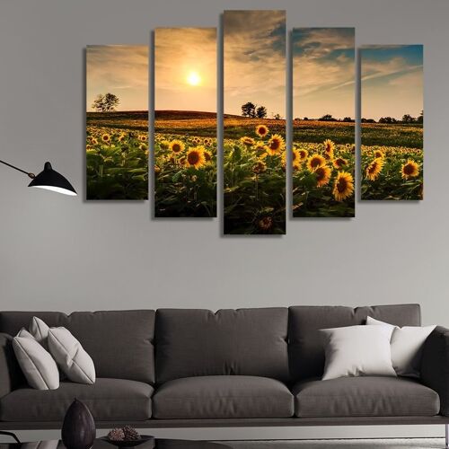 Canvas Sunflower fields at sunset -5 Parts - S