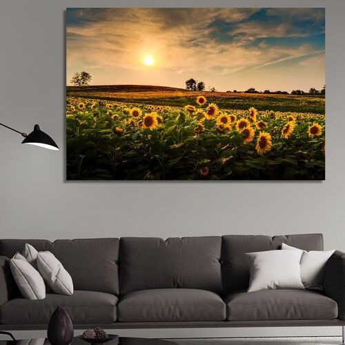 Canvas Sunflower fields at sunset -1 Part - M