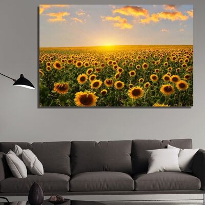 Canvas Sonnenblumenfelder bei Sonnenaufgang -1 Teil - S