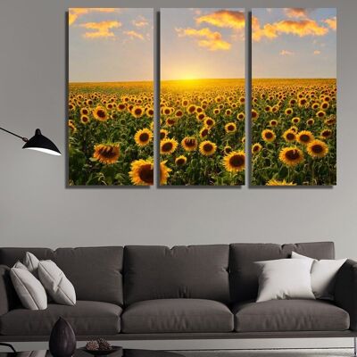 Canvas Sonnenblumenfelder bei Sonnenaufgang -3 Teile - S