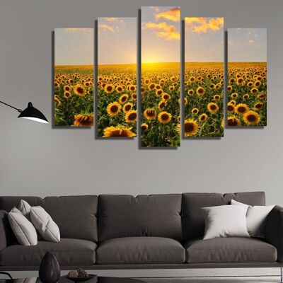 Canvas Sonnenblumenfelder bei Sonnenaufgang -5 Teile - S