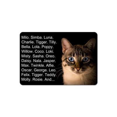 Portrait of a cat and cat names feeding mat