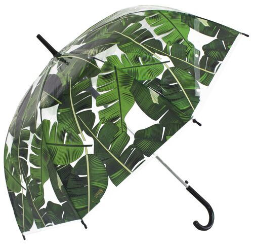 Umbrella - Palm Leafs Print Transparent Stick, Regenschirm, Parapluie, Paraguas