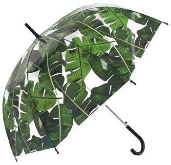 Parapluie - Palm Leafs Print Transparent Stick, Regenschirm, Parapluie, Paraguas