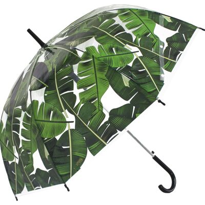 Parapluie - Palm Leafs Print Transparent Stick, Regenschirm, Parapluie, Paraguas