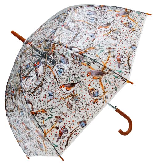 Umbrella - Zebra Finch Bird Transparent, Regenschirm, Parapluie, Paraguas