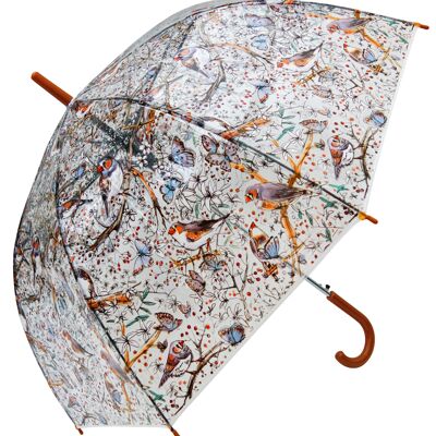 Paraguas - Zebra Finch Bird Transparente, Regenschirm, Parapluie, Paraguas