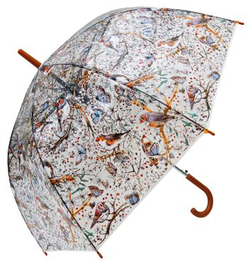 Parapluie - Zebra Finch Bird Transparent, Regenschirm, Parapluie, Paraguas 1