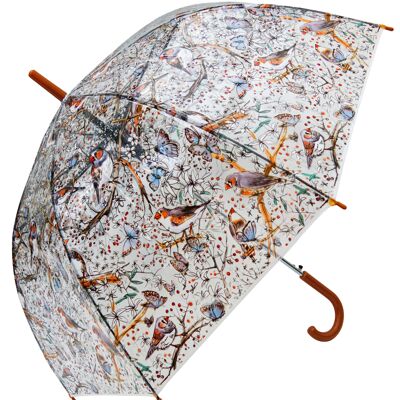 Paraguas - Zebra Finch Bird Transparente, Regenschirm, Parapluie, Paraguas