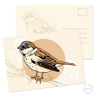 A5 postcard - Dutch bird sparrow