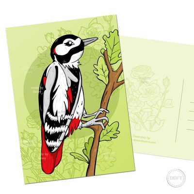 A6 postcard - Dutch bird woodpecker