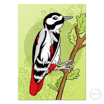 Carte postale A6 - Pic oiseau hollandais 2