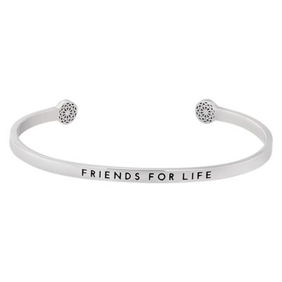 Friends for Life - Silver