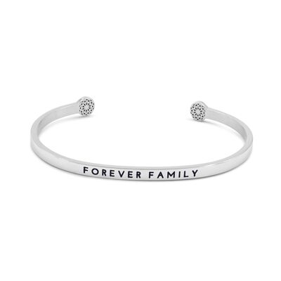 Famiglia per sempre - argento