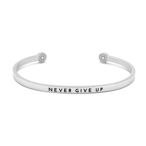 Never Give Up - Silber