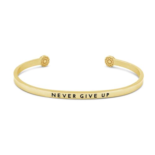 Never Give Up - Gold