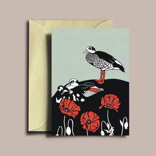 Egyptian Geese Illustrated Card