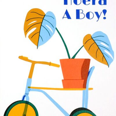 Hoera a Boy Pflanzenpostkarte