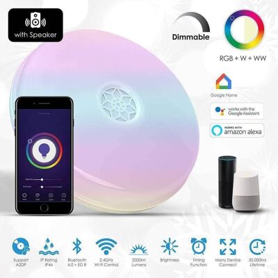 Wifi Ceiling Lamp Light with Speaker, RGB & Dimmable__