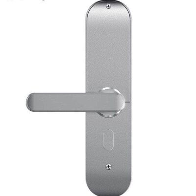 Smart Wifi Doorlock Silver Body - Left Handle__