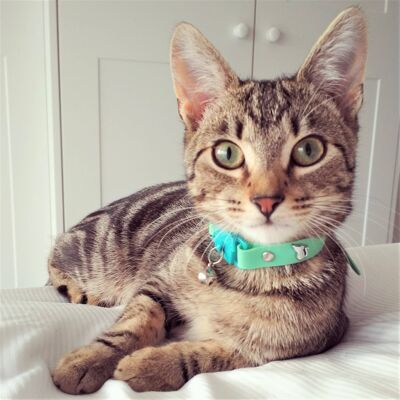 Kittyrama Meadow Cat Collar. Vet & Cat Expert Approved