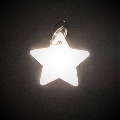 Kittyrama Reflective Star Charm. Safety Cat Tag