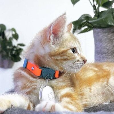 Kittyrama Tangerine Kitten Collar. Vet & Cat Expert Approved
