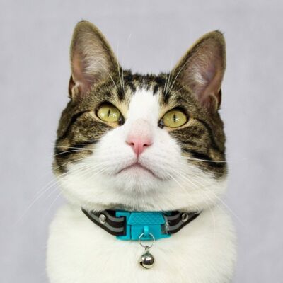 Kittyrama Havana Cat Collar. Vet & Cat Expert Approved