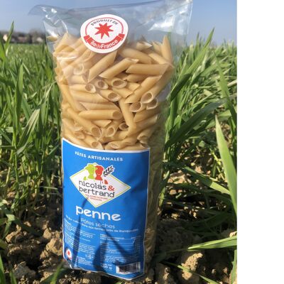 Dry penne 500gr