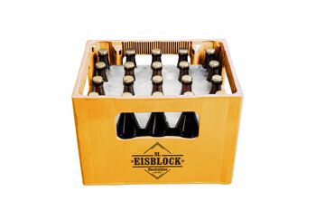 Refroidisseur de caisse à bière SL-Eisblock 20x0,5l 2